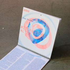 Zukunftskalender Grafikdesign Riso-Druck Typografie Design 